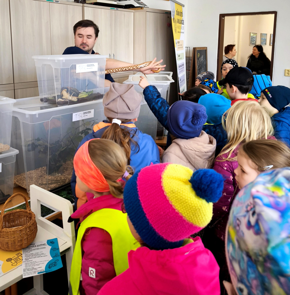 Média - 2026-04-15T045000.177.jpg