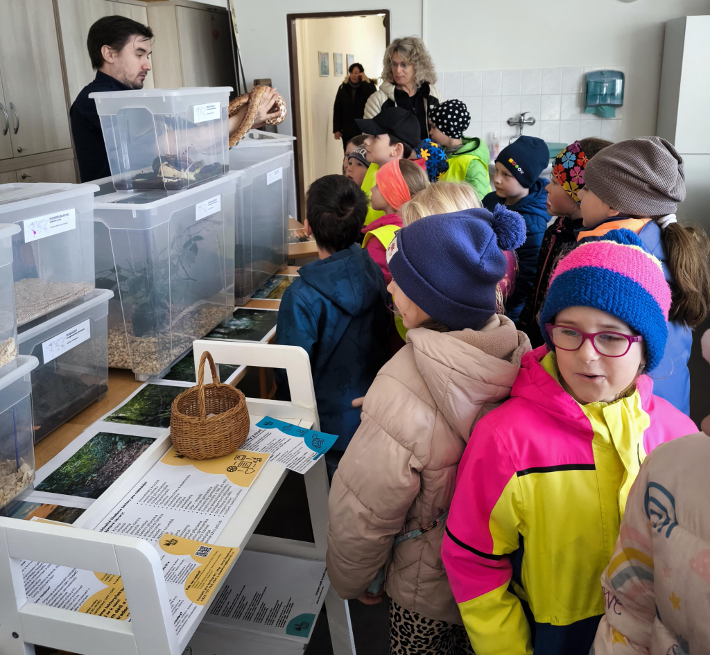 Média - 2026-04-15T044959.256.jpg