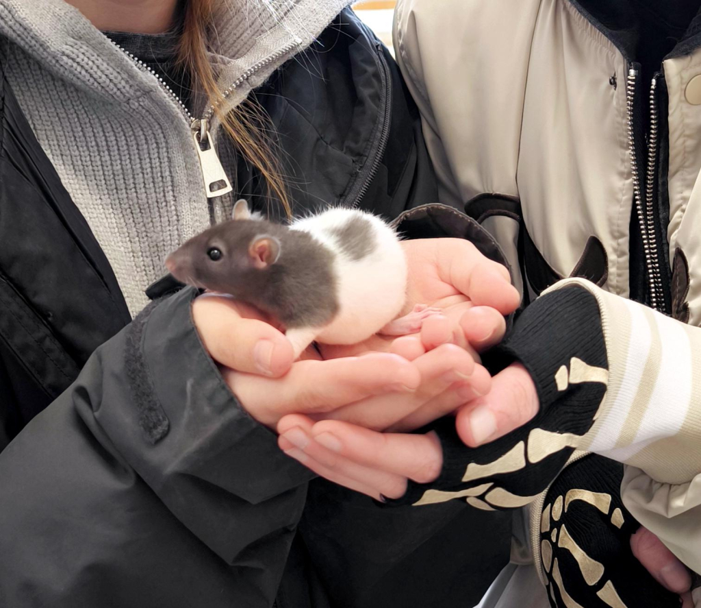 Média - 2026-04-15T044958.086.jpg