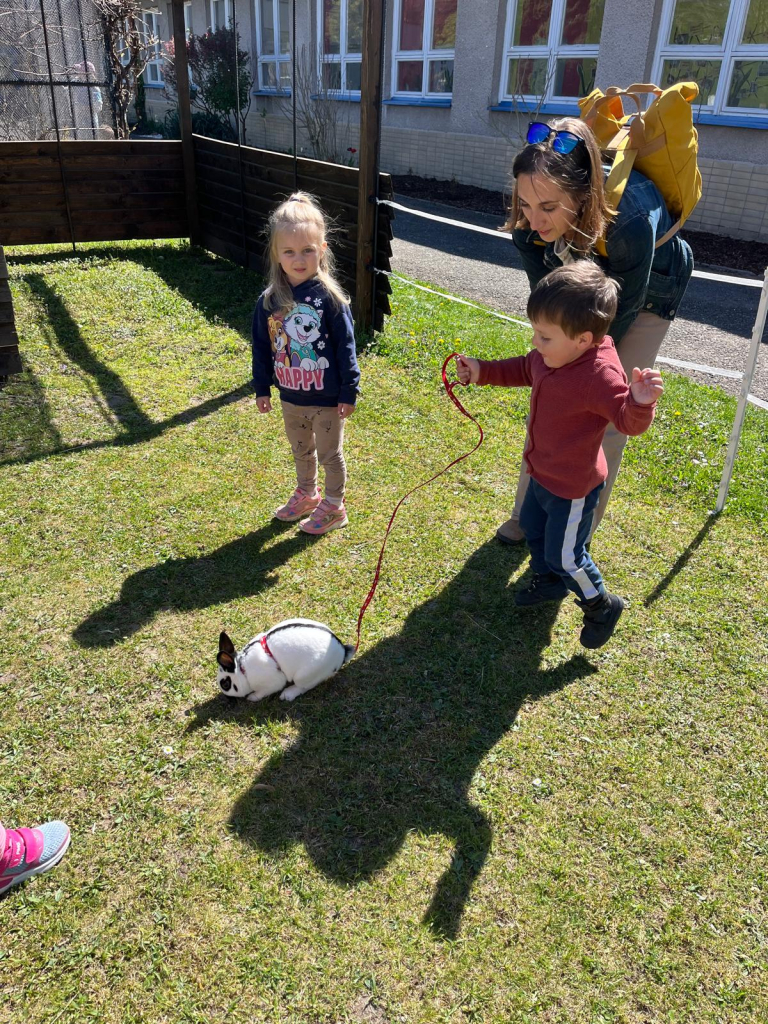 WhatsApp Image 2026-04-27 at 13.15.51 (6).jpeg