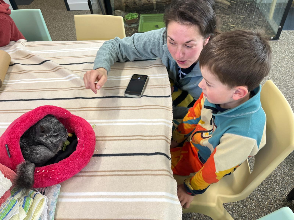 WhatsApp Image 2026-04-27 at 13.15.51 (1).jpeg