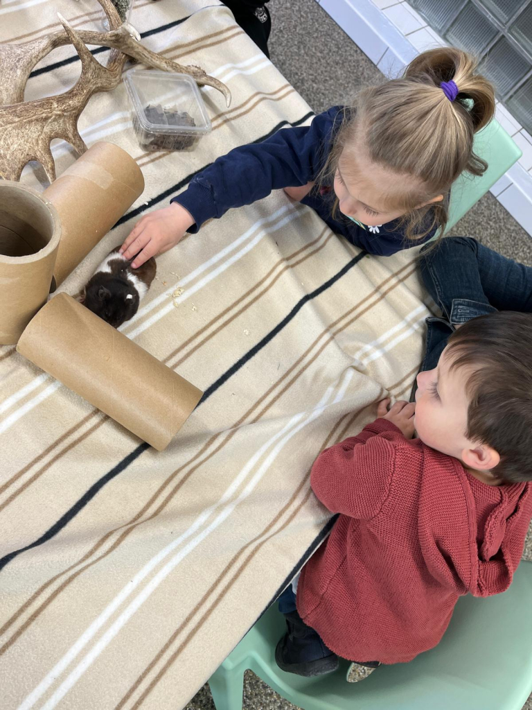 WhatsApp Image 2026-04-27 at 13.15.51.jpeg