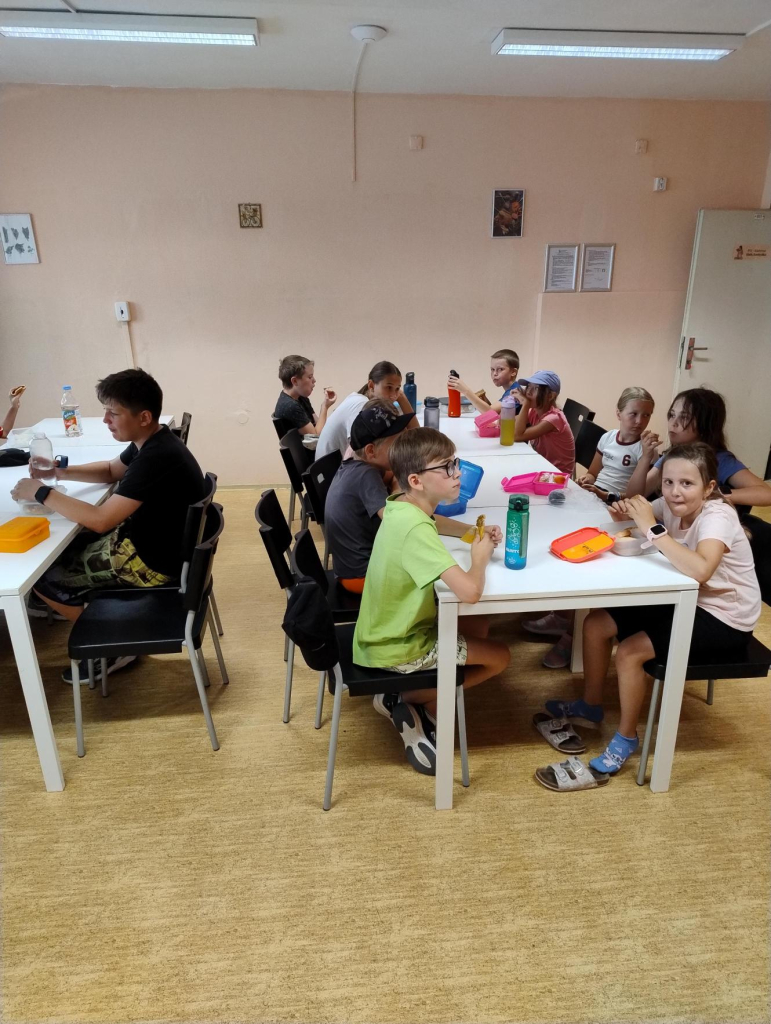 Média - 2026-07-17T170426.073.jpg