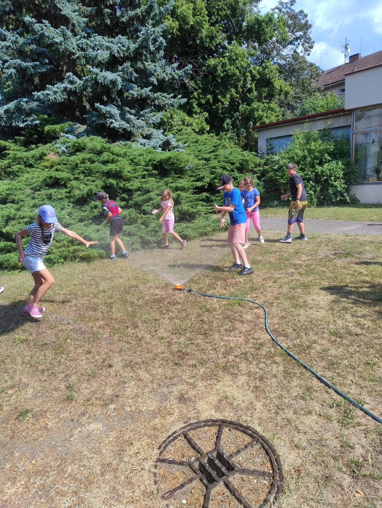 Média - 2026-07-17T170424.041.jpg