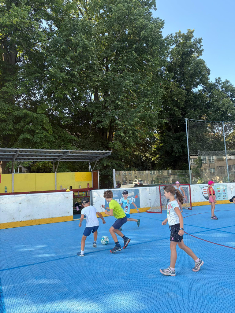 Média - 2026-08-10T072040.525.jpg