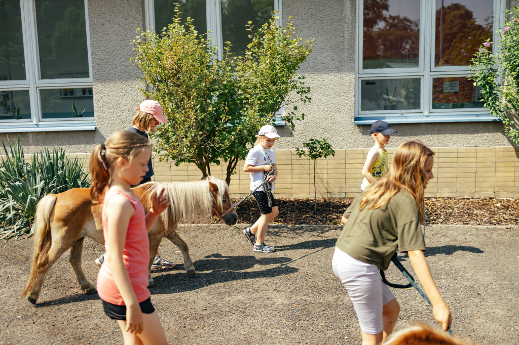 IMG_3472.jpg