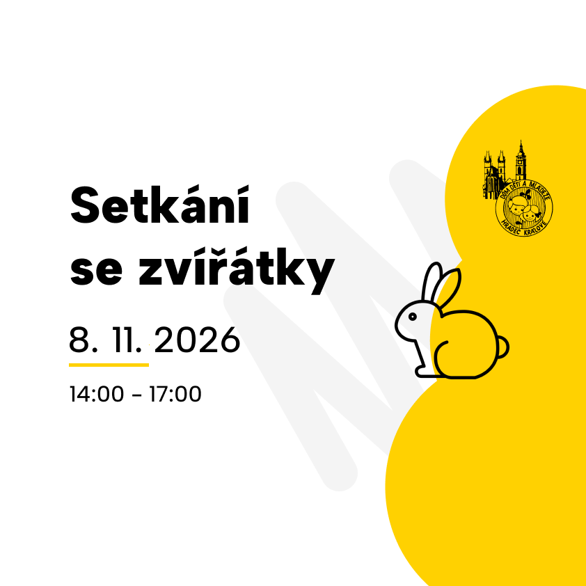 Setkání se zvířátky