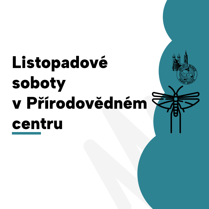 Listopadové soboty v Přírodovědném centru 