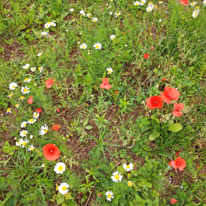 IMG_20220708_110033.jpg