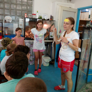 IMG_20210726_152255.jpg