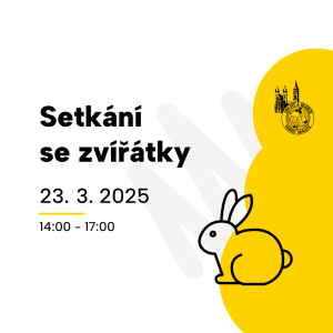 Setkání se zvířátky