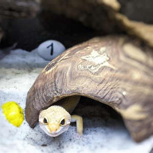 Novinka v Přírodovědném centru 