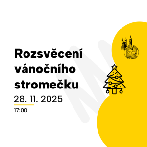 Rozsvěcení vánočního stromečku