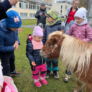 Setkání se zvířátky 9.11.2025