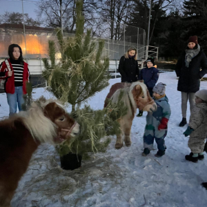 Rozsvícení vánočního stromečku