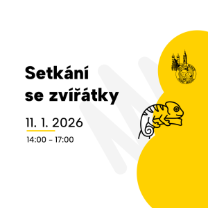 Setkání se zvířátky