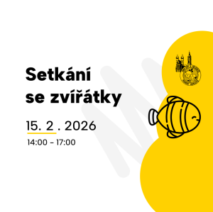 Setkání se zvířátky