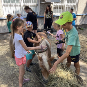 Příměstský přírodovědný tábor