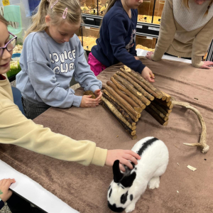 Setkání se zvířátky bylo skvělým startem do nového roku!