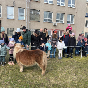 Setkání se zvířátky 