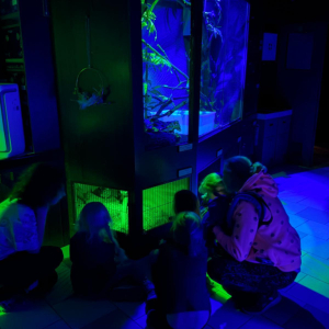 Noční prohlídka Přírodovědné centrum