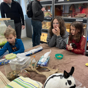 Setkání se zvířátky 