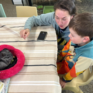 Setkání se zvířátky 